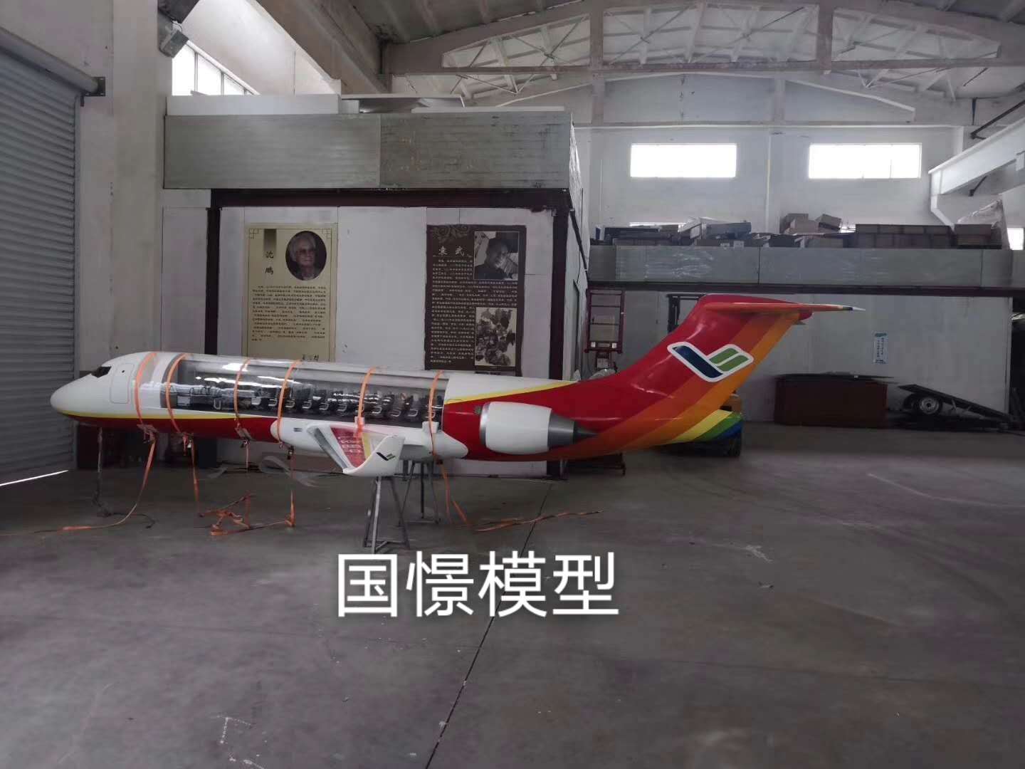 南江县飞机模型